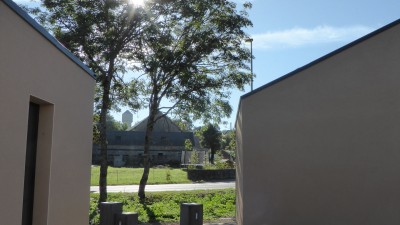 p1310542